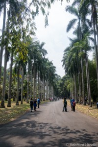 Botanischer Garten Bogor